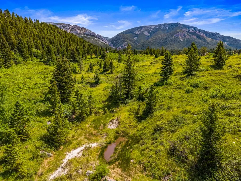 Lot 34 Cheyenne Trail Nye MT 59061