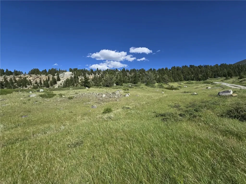 Lot 34 Cheyenne Trail Nye MT 59061