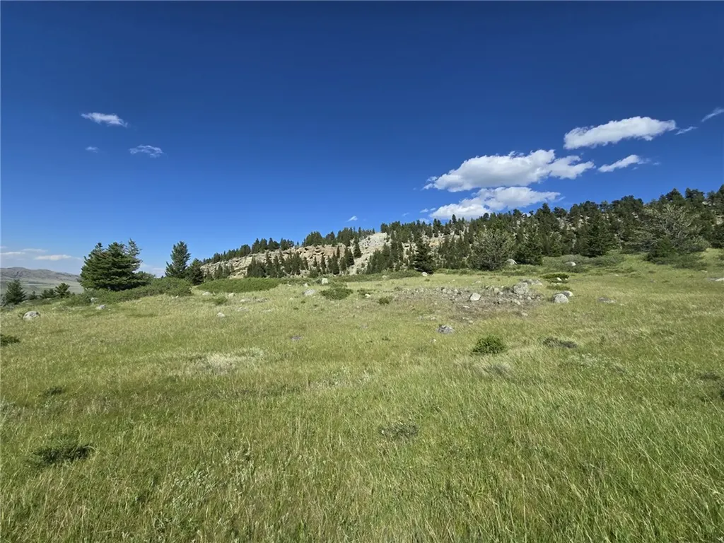 Lot 34 Cheyenne Trail Nye MT 59061
