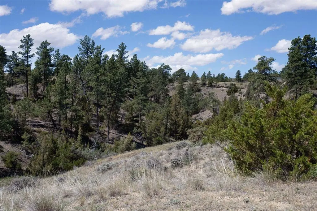 3460 Buffalo Trail Road Molt MT 59057