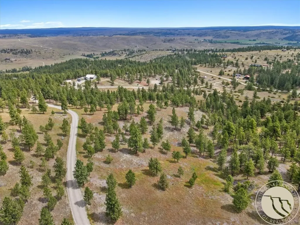 Tbd Lewis Trail Columbus MT 59019