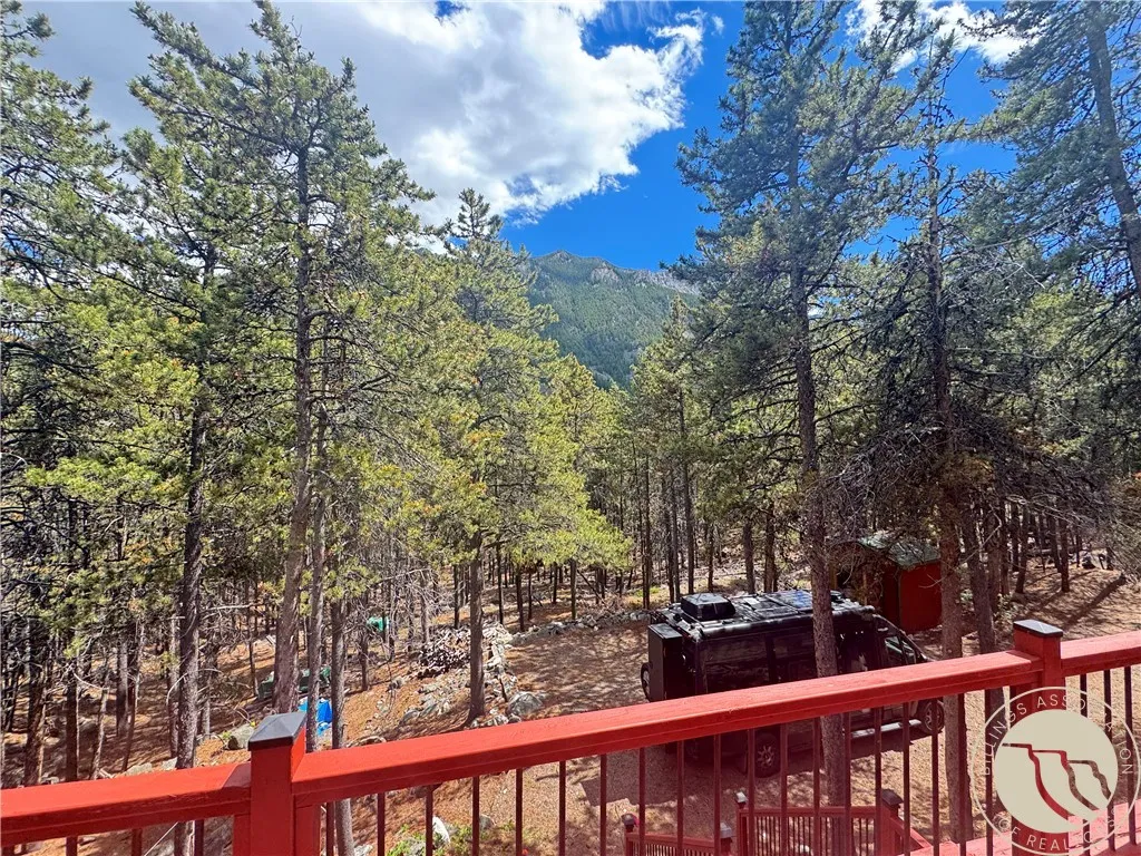 27 Snow Creek Road Red Lodge MT 59068