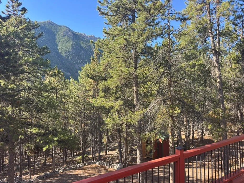 27 Snow Creek Road Red Lodge MT 59068
