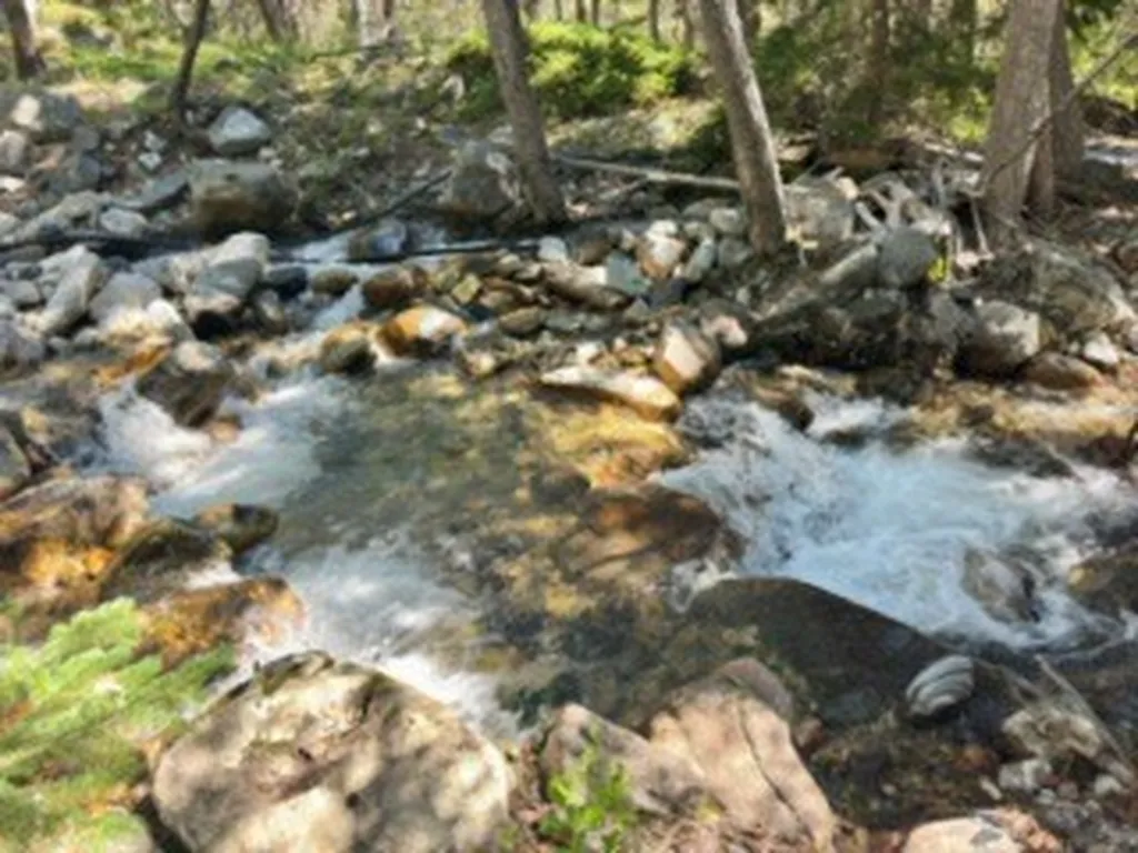 27 Snow Creek Road Red Lodge MT 59068