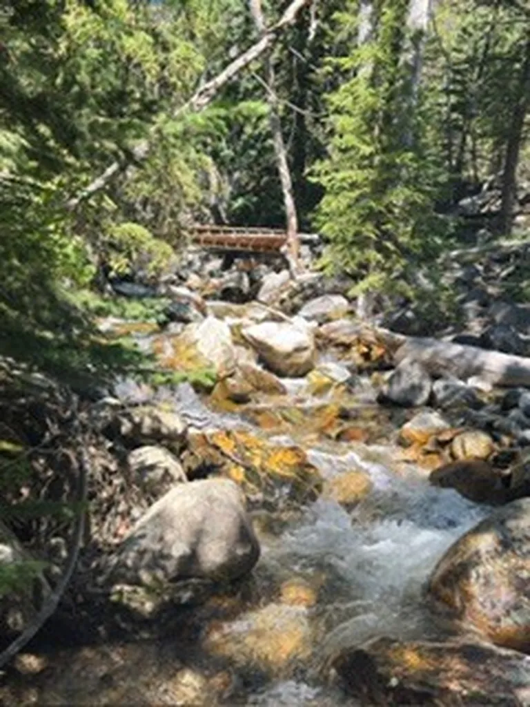 27 Snow Creek Road Red Lodge MT 59068