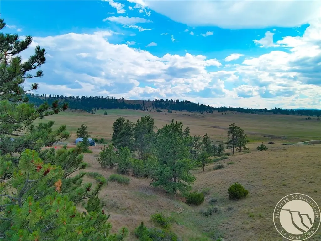 Non Bellion Creek Road Joliet MT 59041