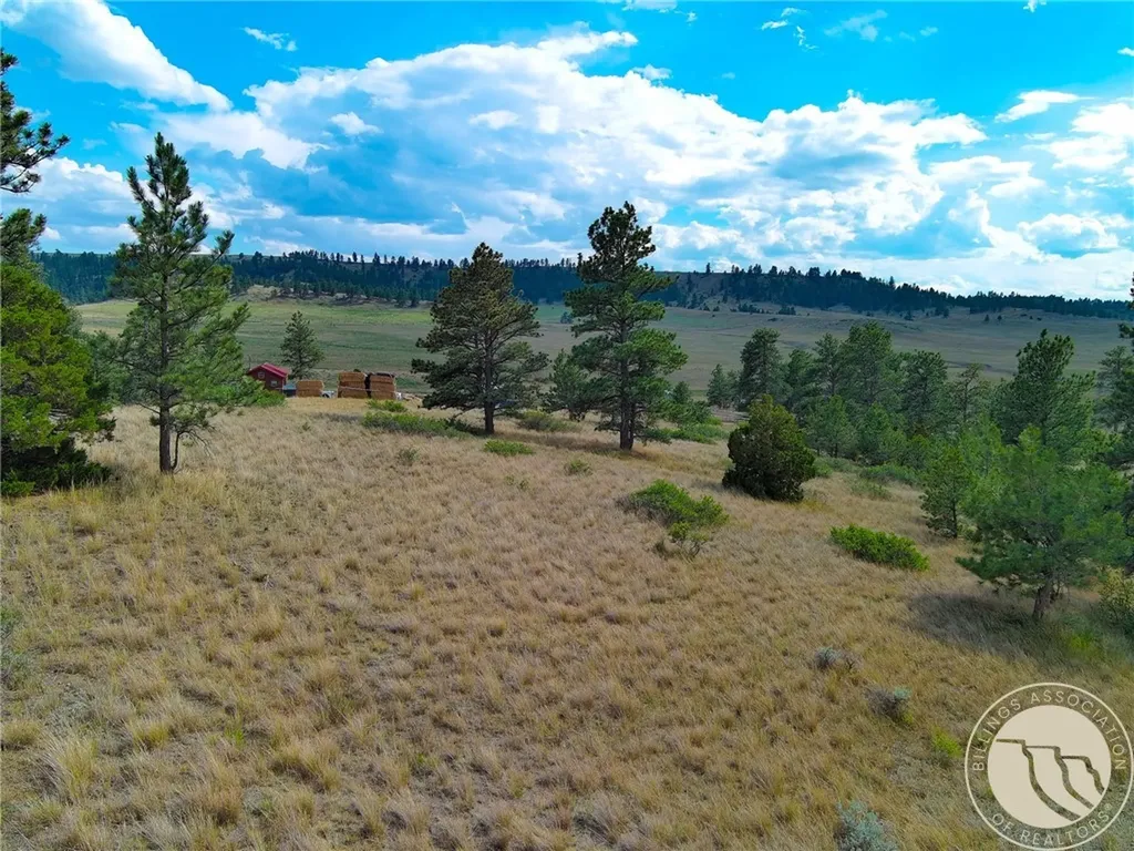 Non Bellion Creek Road Joliet MT 59041