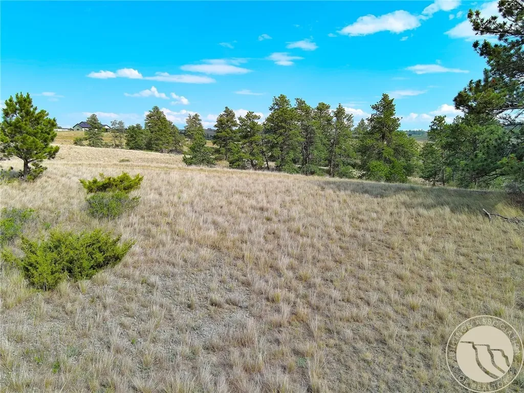 Non Bellion Creek Road Joliet MT 59041