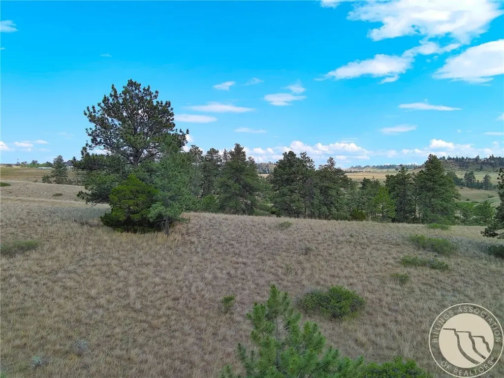 Non Bellion Creek Road Joliet MT 59041