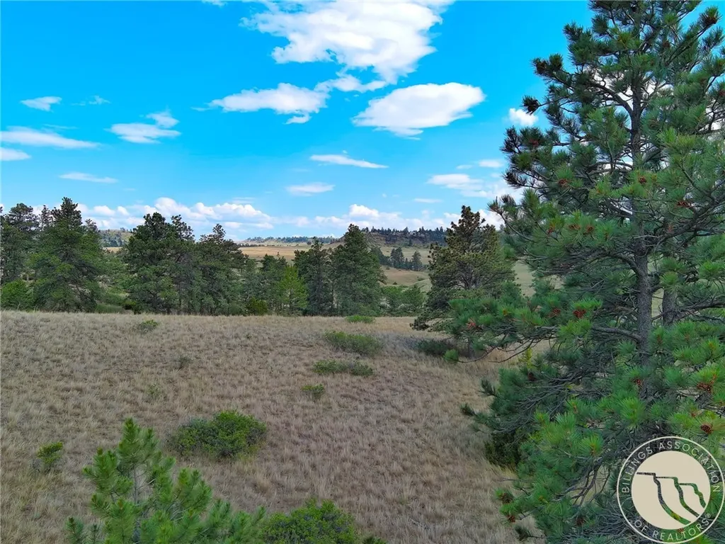 Non Bellion Creek Road Joliet MT 59041