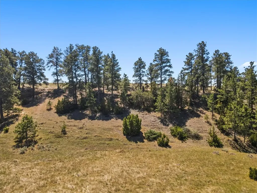 0 Miller Butte Park City MT 59063