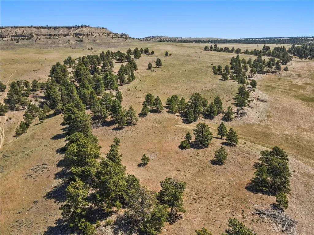 0 Miller Butte Park City MT 59063