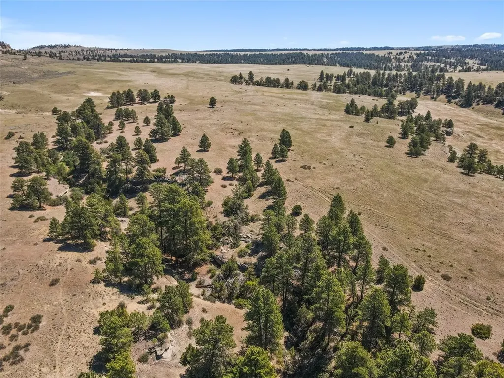 0 Miller Butte Park City MT 59063