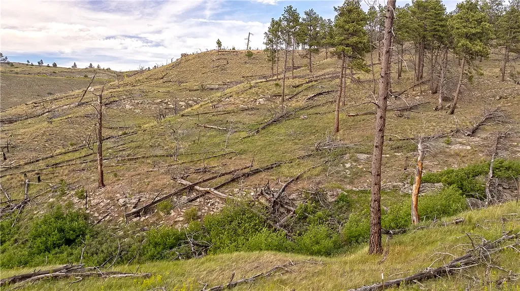 69 N Fork Eagle Mountain Road Columbus MT 59019