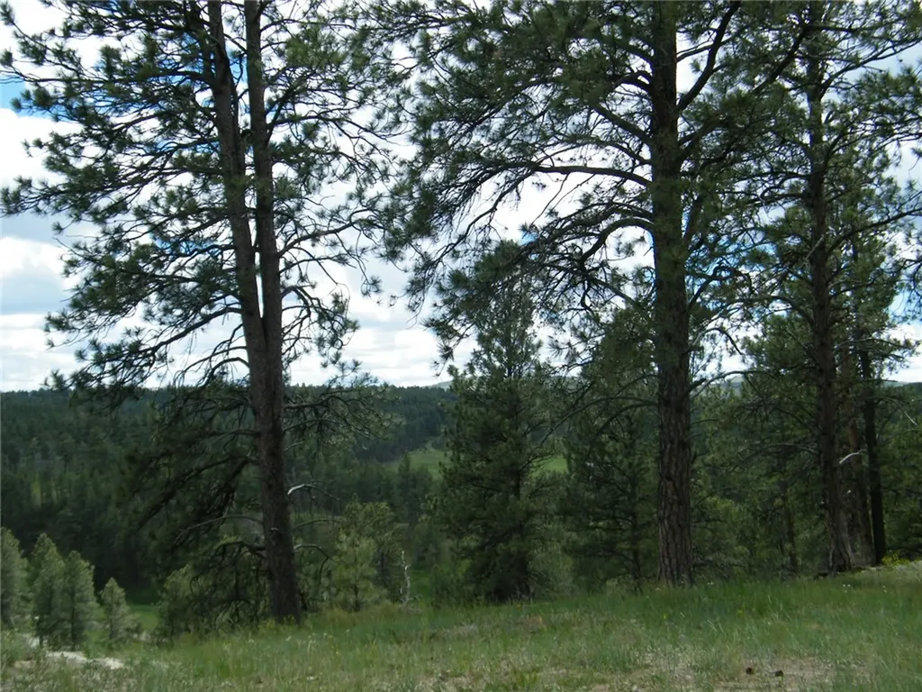 448 W Parrot Creek Road Roundup MT 59072