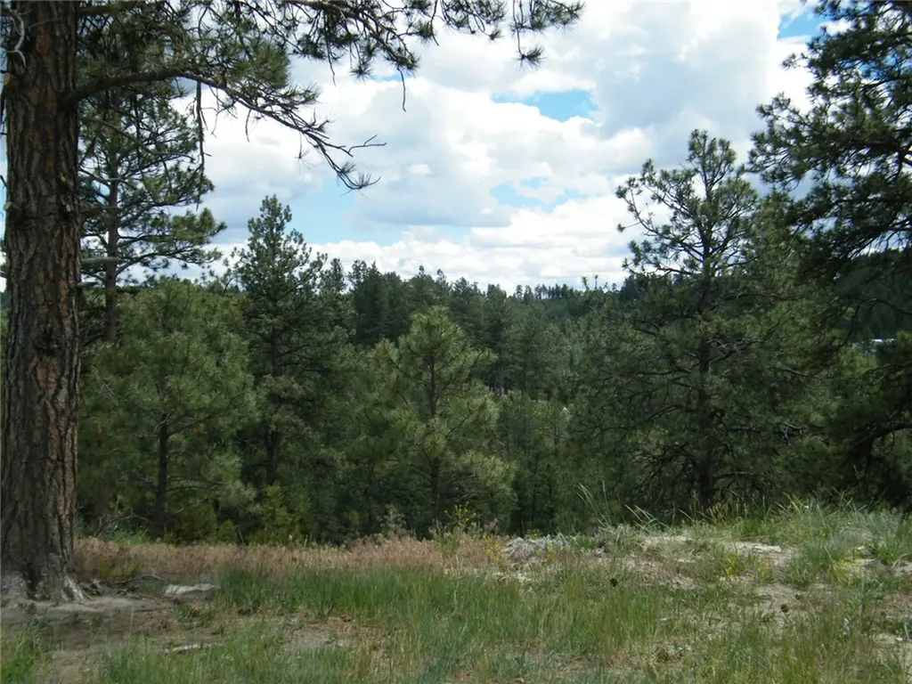 448 W Parrot Creek Road Roundup MT 59072