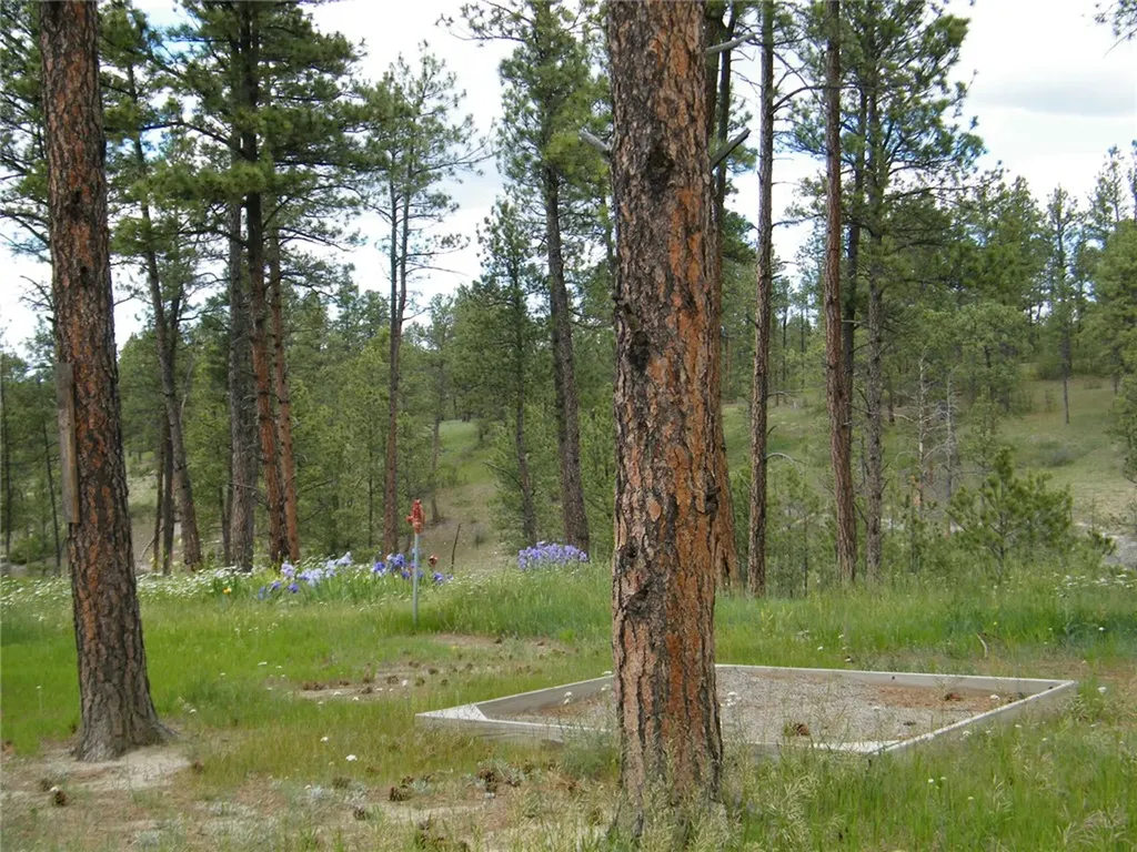 448 W Parrot Creek Road Roundup MT 59072