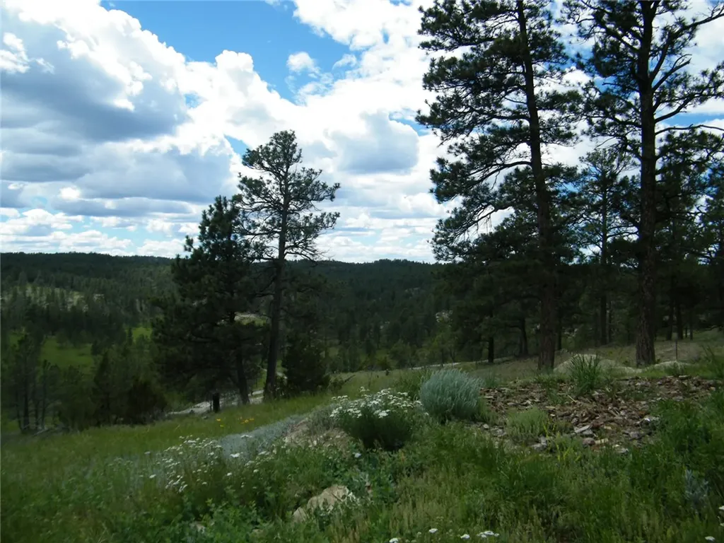 448 W Parrot Creek Road Roundup MT 59072