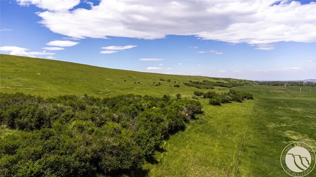 6058 Cottonwood Creek Road Lewistown MT 59457