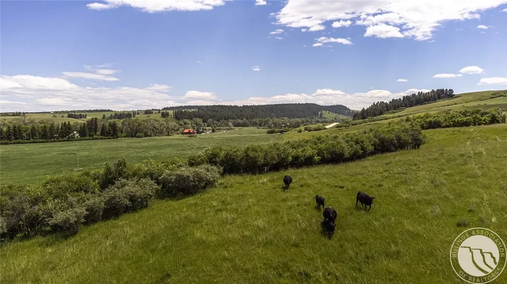 6058 Cottonwood Creek Road Lewistown MT 59457