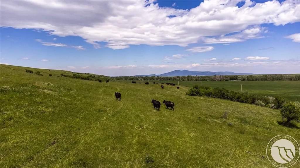 6058 Cottonwood Creek Road Lewistown MT 59457
