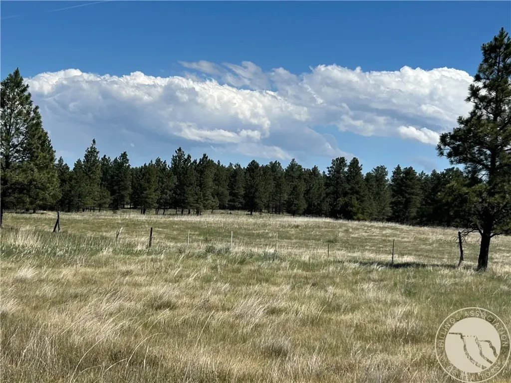 77 Treetop Road Roundup MT 59072