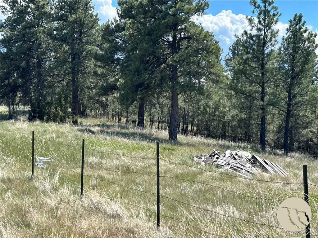 77 Treetop Road Roundup MT 59072
