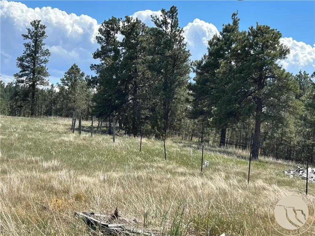 77 Treetop Road Roundup MT 59072
