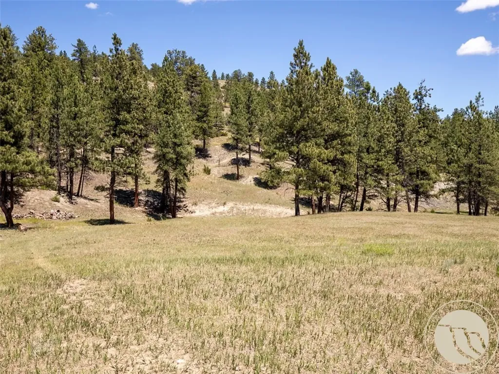 133 Haystack Coulee Road Reed Point MT 59069