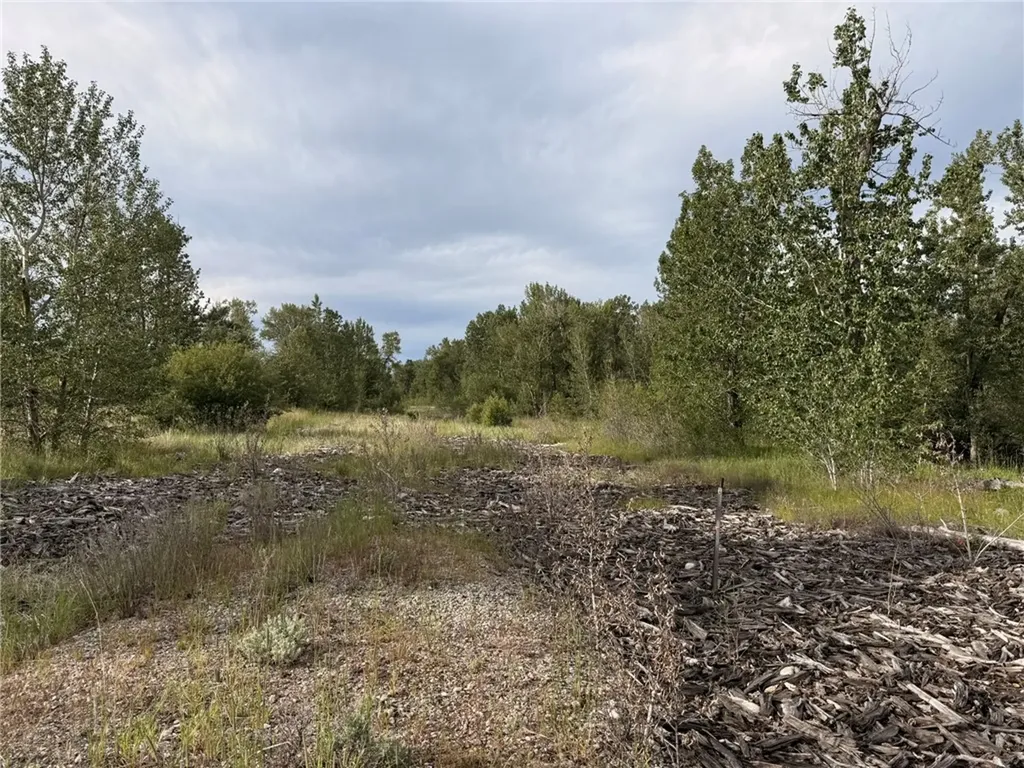 Nsn Woodlands Drive Red Lodge MT 59068