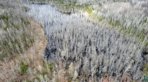 5600 Otto Road South Range WI 54847
