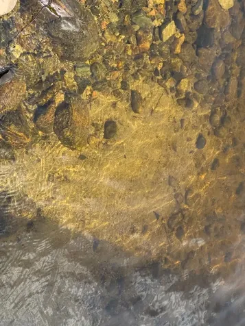 6476 Cypress Lane Gilbert MN 55741