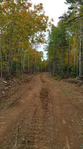 5241 Hut Two Road Finland MN 55603