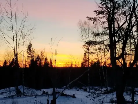 5241 Hut Two Road Finland MN 55603