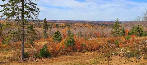 5241 Hut Two Road Finland MN 55603