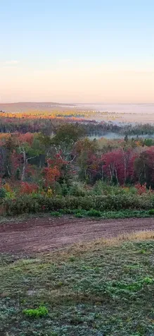 5241 Hut Two Road Finland MN 55603