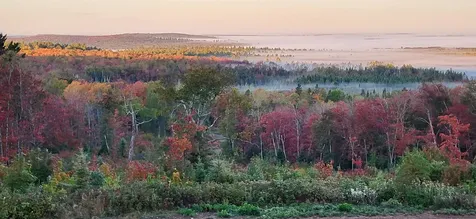 5241 Hut Two Road Finland MN 55603