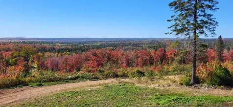 5241 Hut Two Road Finland MN 55603