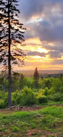 5241 Hut Two Road Finland MN 55603