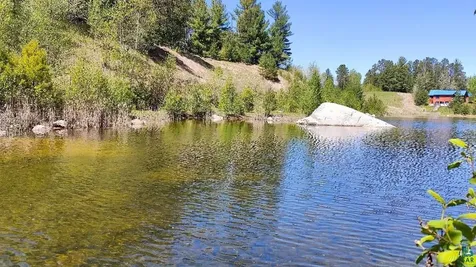 80034 Sweet Fern Loop Tower MN 55790