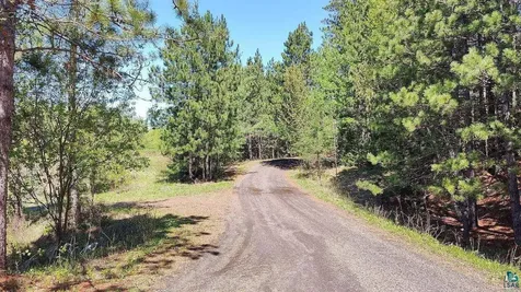 80075 Waters Of Vermilion Road Tower MN 55790