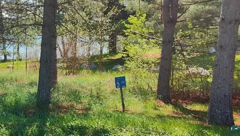 80075 Waters Of Vermilion Road Tower MN 55790