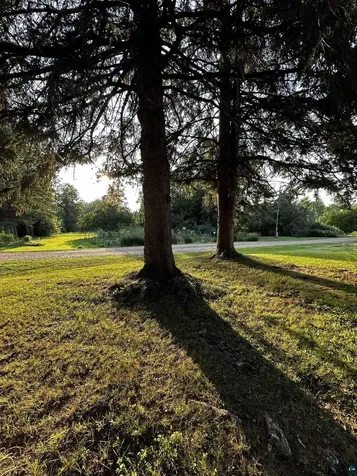 8372 Garden Street Kerrick MN 55756