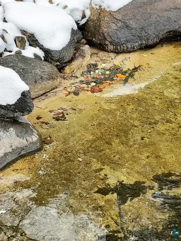 Xxx Lake Vermilion Cook MN 55723