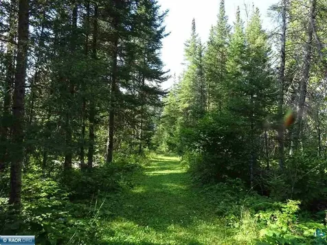 6701 Koski Road Tower MN 55790