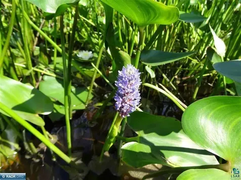 6701 Koski Road Tower MN 55790