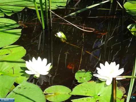 6701 Koski Road Tower MN 55790