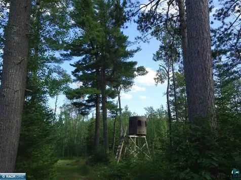 6701 Koski Road Tower MN 55790