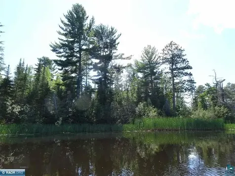 6701 Koski Road Tower MN 55790