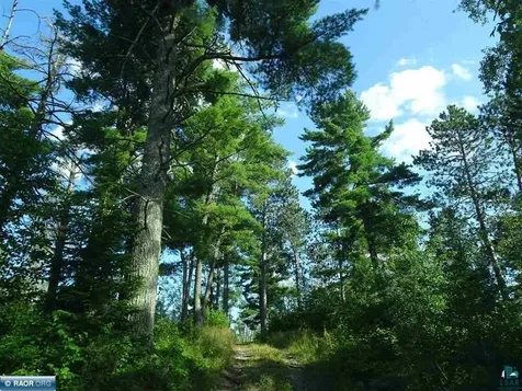 6701 Koski Road Tower MN 55790